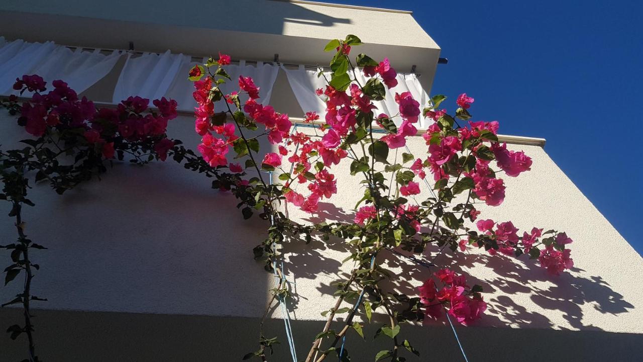 Mina Apartments Okrug Gornji Dış mekan fotoğraf